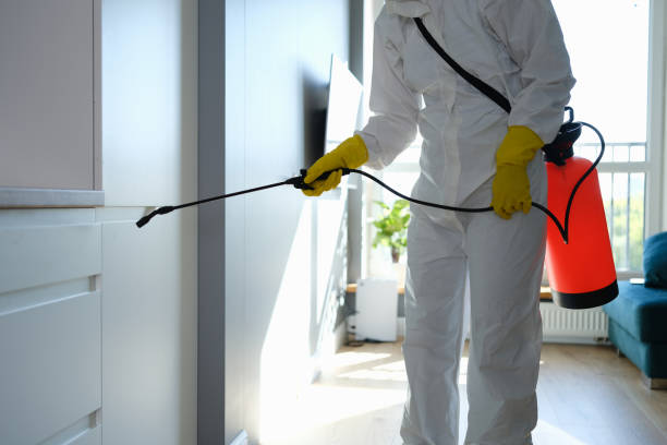 Best Certified Mold Removal  in Harbor Bluffs, FL