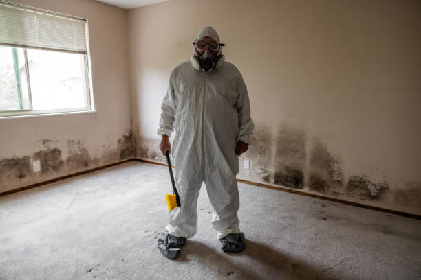 Best Emergency Mold Removal  in Harbor Bluffs, FL